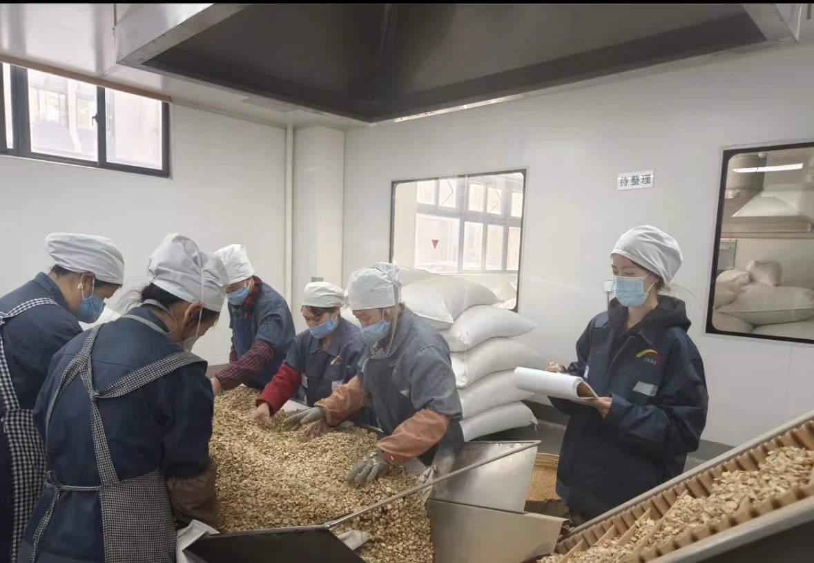 Qingdao Biohoer Biotech Co., Ltd. ने आधिकारिक तौर पर निर्माण शुरू किया है
