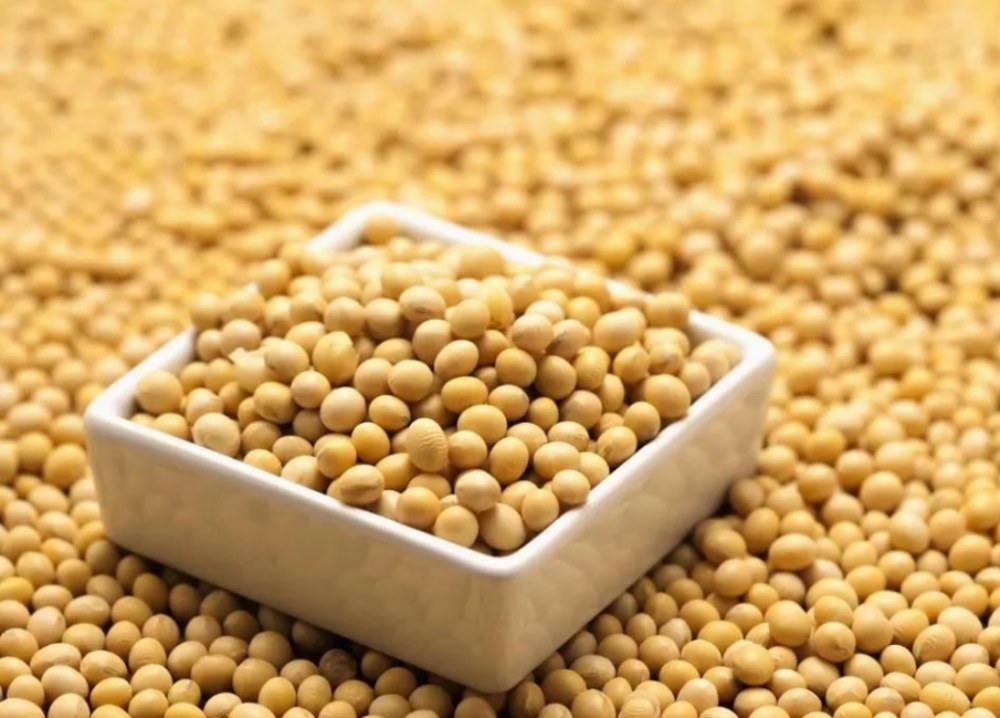 सोया आइसोफ्लेवोन्स के क्या लाभ हैं?