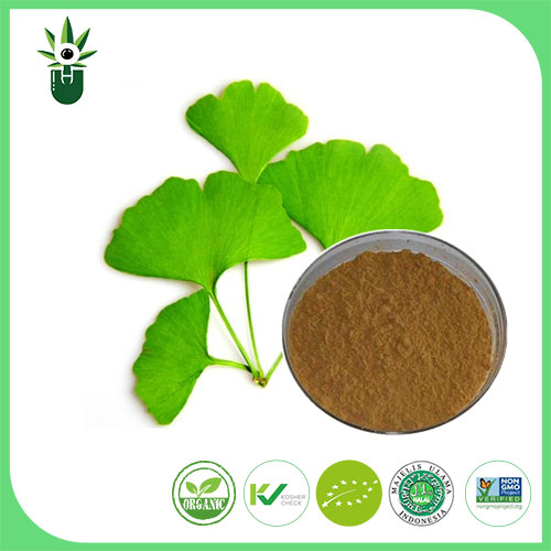 किस लक्षणों को कम करने के लिए ginkgo बिलोबा पत्ती के अर्क का उपयोग किया जा सकता है?