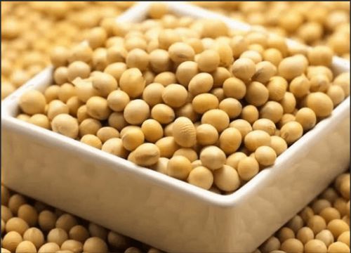 सोया आइसोफ्लेवोन्स के क्या लाभ हैं?